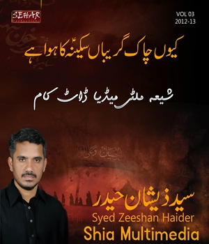  - Syed Zeeshan Haider 2013